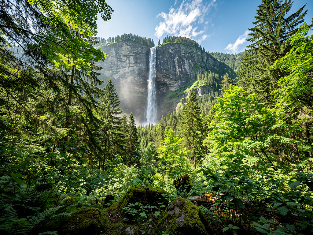 상상해봐： 마야나 평화  
        
  
생명이 숨쉬는
마법의 숲

한 마을 근처에, 보기에 평화로운 숲처럼 조밀하게 퍼져있는 한 대규모 숲이 있었다. 그 숲의 깊이에는 거대한 산이 있었다. 그 산에서 높은 물폭포가 