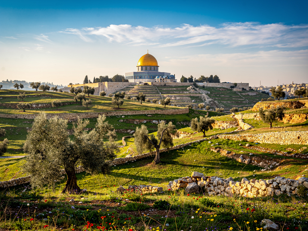 تخيل لو: تخيل بس لو اتحررت الاراضي الفلسطينية