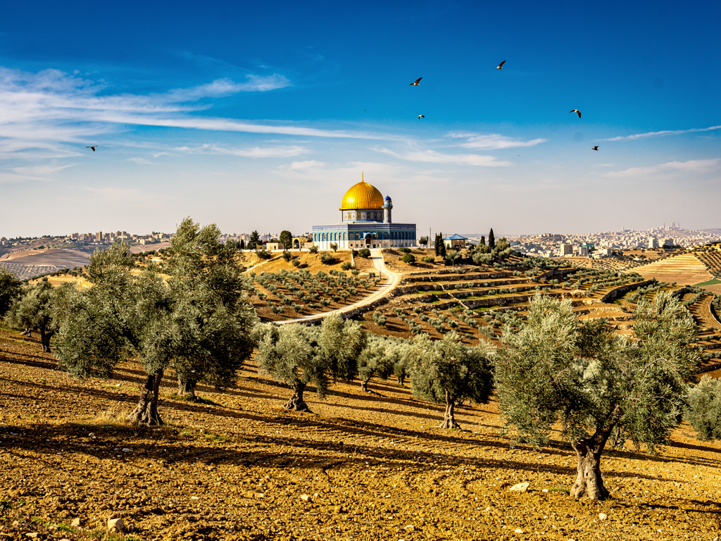 تخيل لو: تخيل بس لو اتحررت الاراضي الفلسطينية