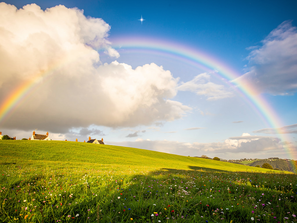 Someday I'll wish upon a star
And wake up where the clouds are far behind me
Where troubles melt like lemon drops
Away above 